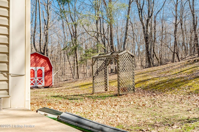 view of yard featuring an outbuilding and a storage unit