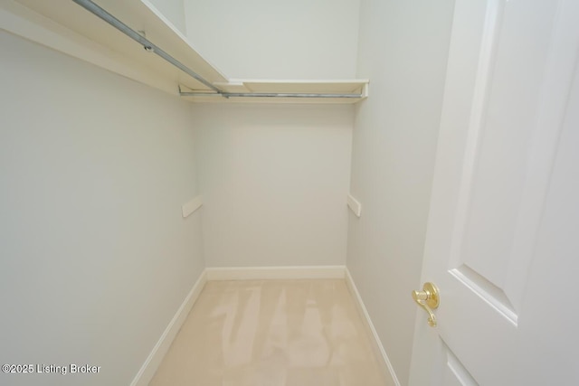 1038 Garden Creek Cir, Louisville, KY 40223 - walk in closet with light colored carpet