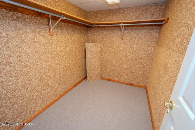 1038 Garden Creek Cir, Louisville, KY 40223 - spacious closet with carpet