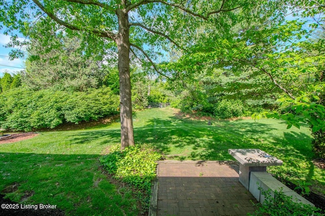 1038 Garden Creek Cir, Louisville, KY 40223 - view of grassy yard