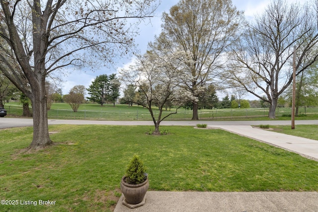 view of yard