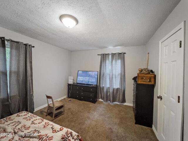 970 Elk Cave Branch Rd, Gravel Switch, KY 40328 - carpeted bedroom with a textured ceiling and baseboards