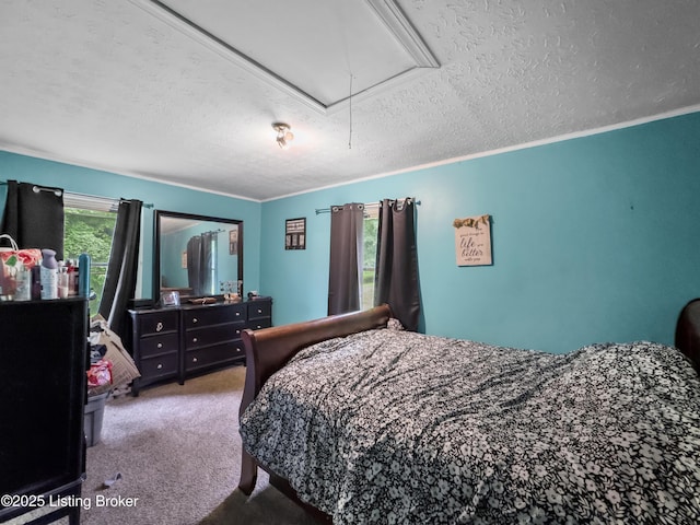 970 Elk Cave Branch Rd, Gravel Switch, KY 40328 - carpeted bedroom featuring attic access, a textured ceiling, and ornamental molding