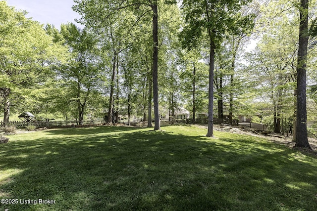 view of yard featuring a fenced backyard