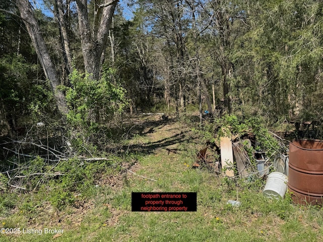 0 Big Meadows Ln, Irvington, KY 40146