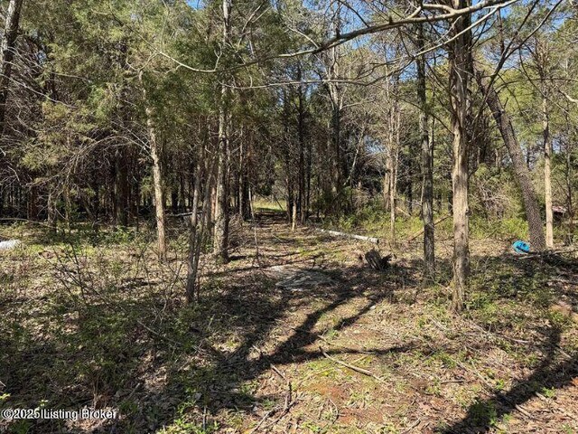 0 Big Meadows Ln, Irvington, KY 40146