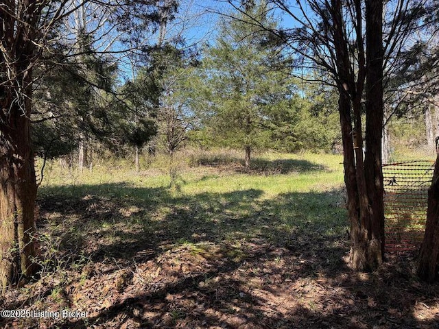 0 Big Meadows Ln, Irvington, KY 40146