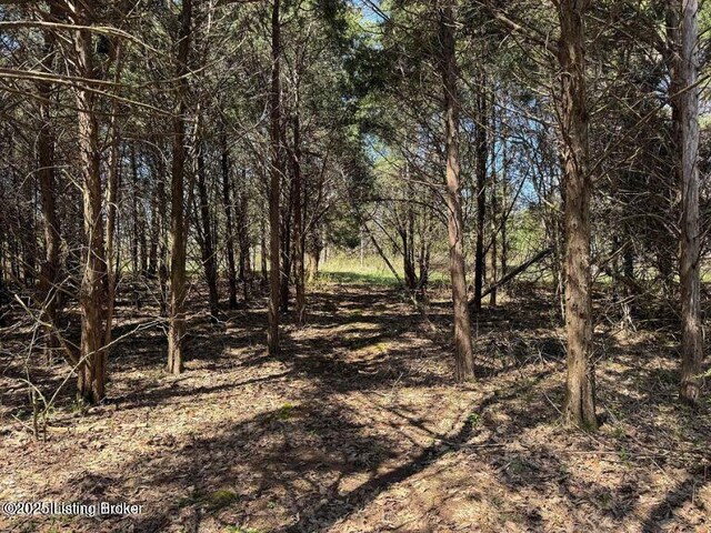 0 Big Meadows Ln, Irvington, KY 40146