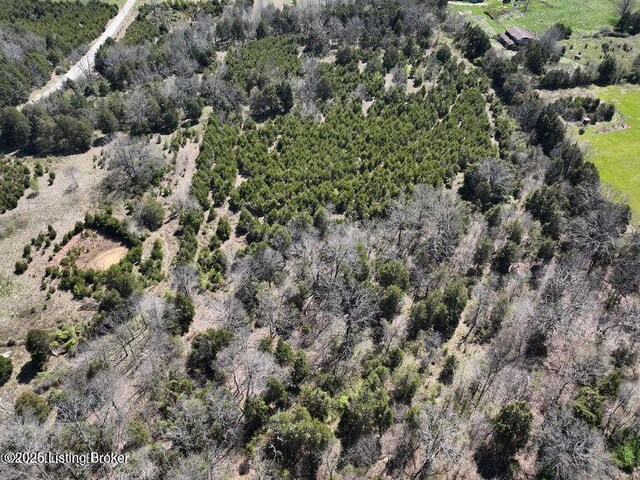 0 Big Meadows Ln, Irvington, KY 40146