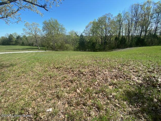 0 Mcdonald Rd, Leitchfield, KY 42754