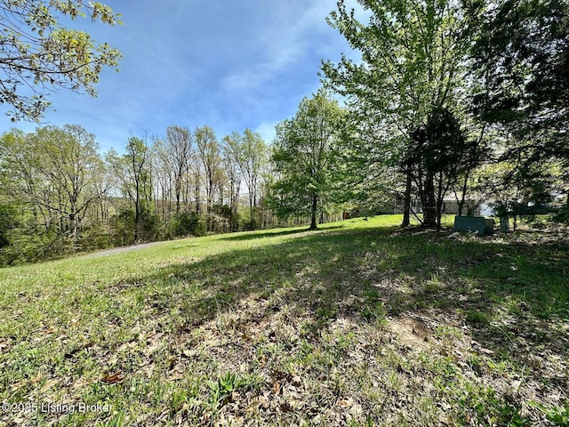 0 Mcdonald Rd, Leitchfield, KY 42754
