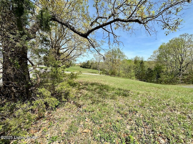 0 Mcdonald Rd, Leitchfield, KY 42754