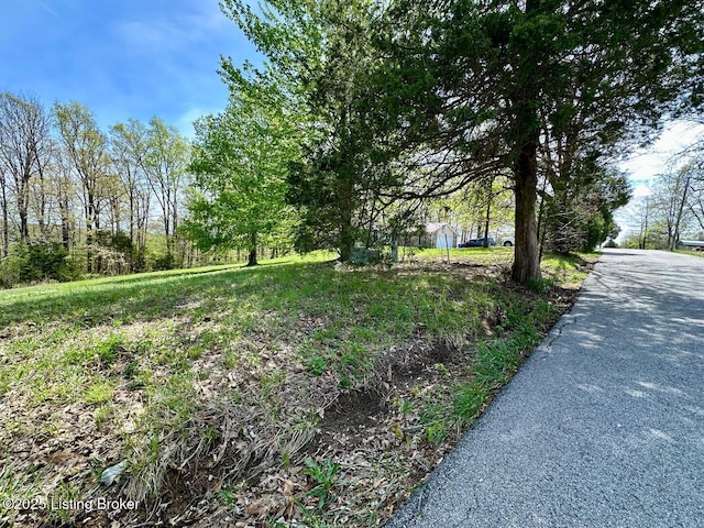 0 Mcdonald Rd, Leitchfield, KY 42754