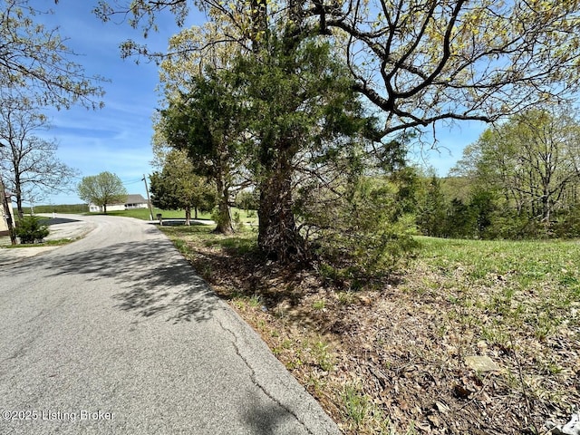 0 Mcdonald Rd, Leitchfield, KY 42754