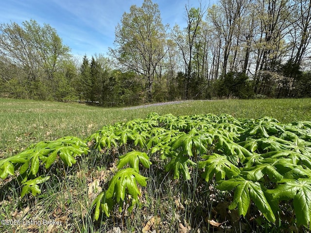 0 Mcdonald Rd, Leitchfield, KY 42754
