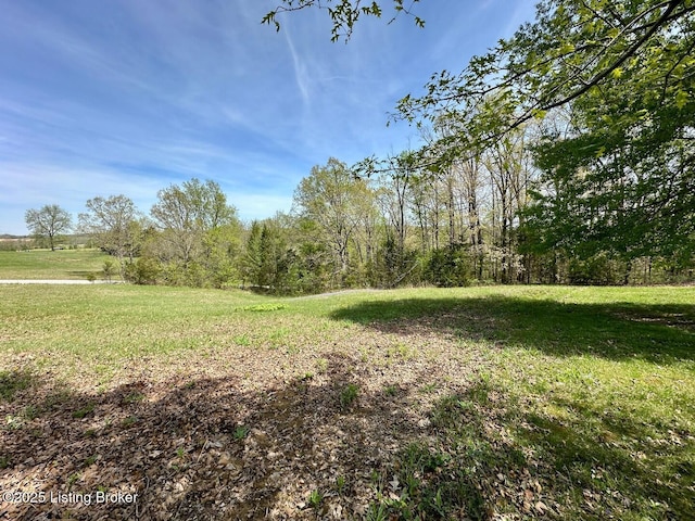 0 Mcdonald Rd, Leitchfield, KY 42754