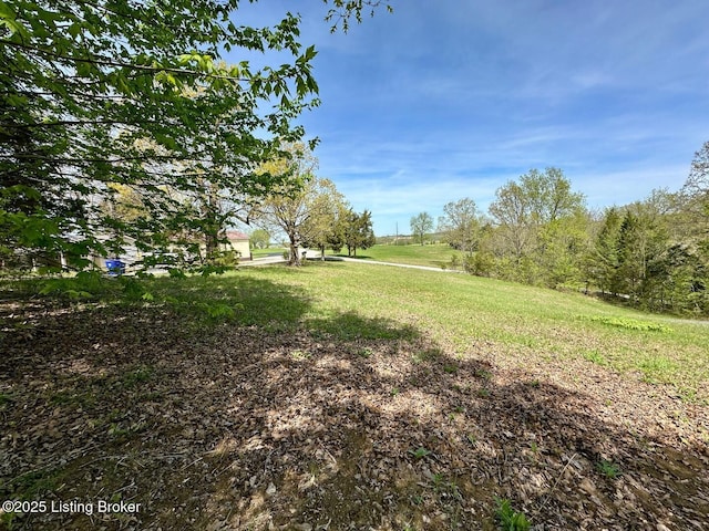 0 Mcdonald Rd, Leitchfield, KY 42754