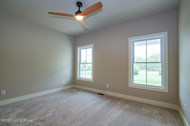 201 Reelfoot Dr, Elizabethtown, KY 42701 - photo 43