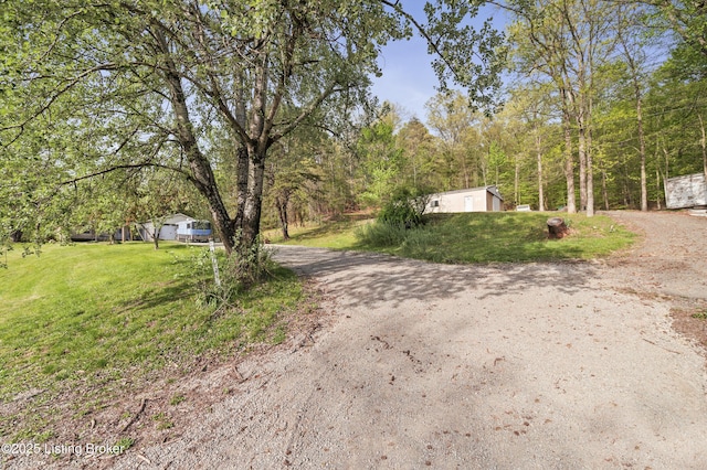 1782 Happy Hollow Rd, Clermont, KY 40110 - view of dirt / gravel driveway with a wooded view
