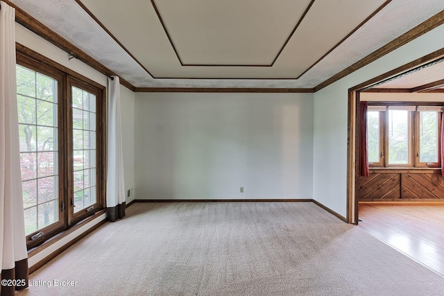 empty room featuring baseboards, light carpet, a baseboard radiator, and plenty of natural light