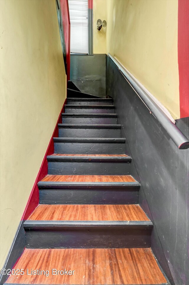 519 E Oak St, Louisville, KY 40203 - photo 19