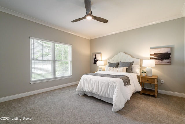 105 Wellston Pl, Louisville, KY 40207 - bedroom with baseboards, ceiling fan, carpet flooring, and crown molding