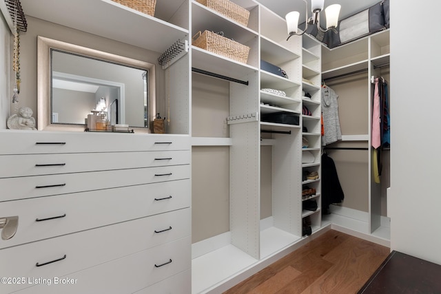 spacious closet with wood finished floors and a chandelier