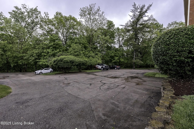 6505 Deep Creek Dr Unit 3, Prospect, KY 40059 - exterior space