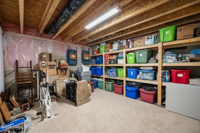 view of storage room