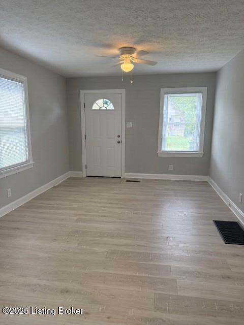 610 Compton St, Louisville, KY 40208 - foyer entrance featuring light wood-type flooring and plenty of natural light
