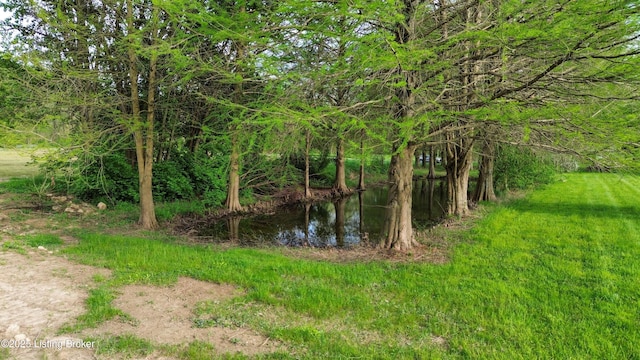 224 Spring Creek Ln, Milton, KY 40045 - view of local wilderness