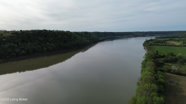 224 Spring Creek Ln, Milton, KY 40045 - property view of water featuring a wooded view