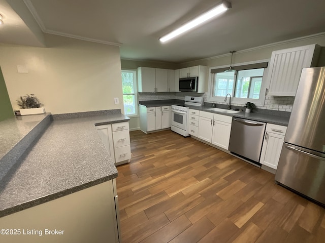 224 Spring Creek Ln, Milton, KY 40045 - kitchen featuring decorative backsplash, a sink, appliances with stainless steel finishes, and crown molding