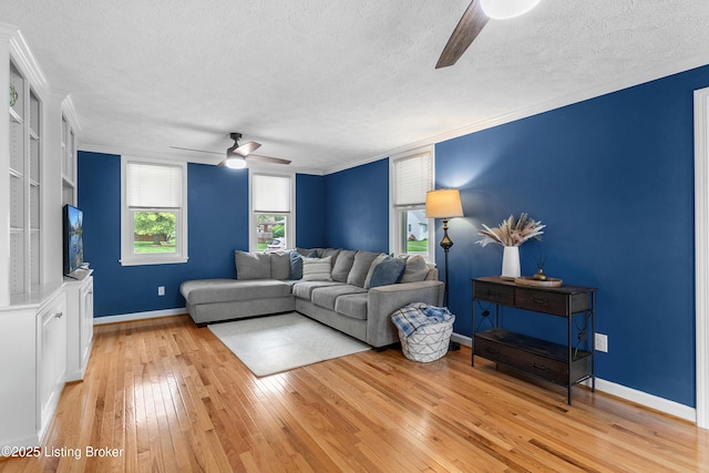 2807 Alice Ave, Louisville, KY 40220 - living room with a ceiling fan, a textured ceiling, light wood-style floors, baseboards, and crown molding