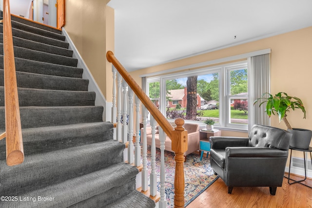 2807 Alice Ave, Louisville, KY 40220 - stairway featuring wood finished floors and baseboards