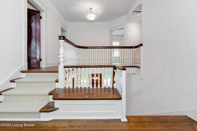 1552 Cherokee Rd, Louisville, KY 40205 - photo 98