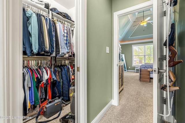 10905 Rock Valley Ct, Louisville, KY 40241 - walk in closet with carpet and a ceiling fan