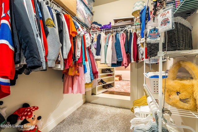 10905 Rock Valley Ct, Louisville, KY 40241 - walk in closet with carpet