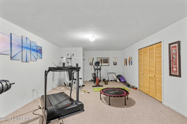 exercise area featuring carpet flooring