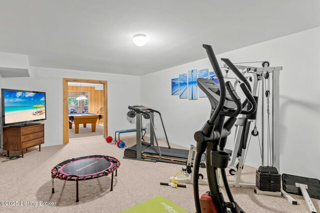 exercise room featuring carpet flooring and pool table