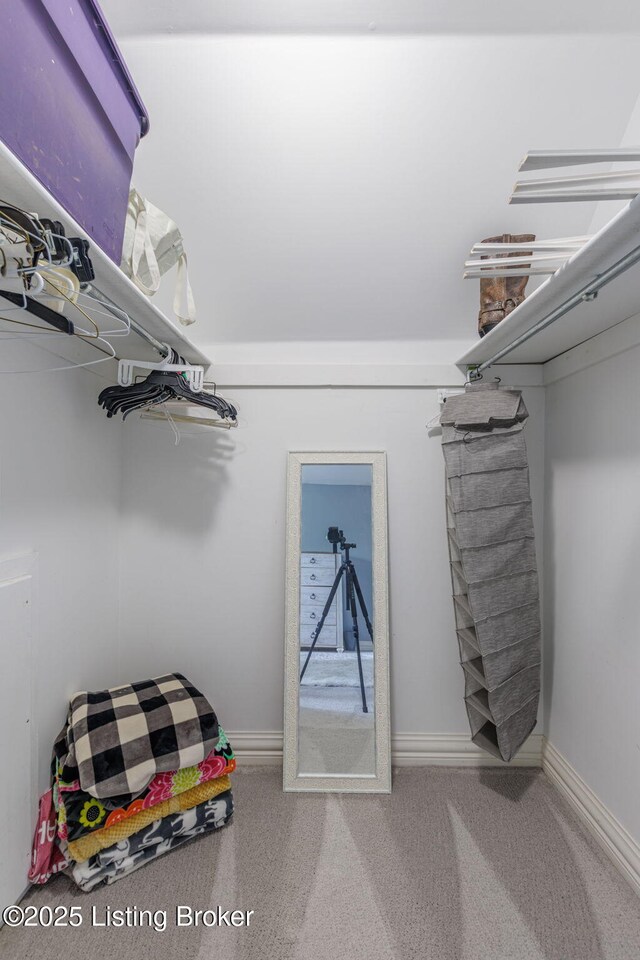spacious closet with carpet