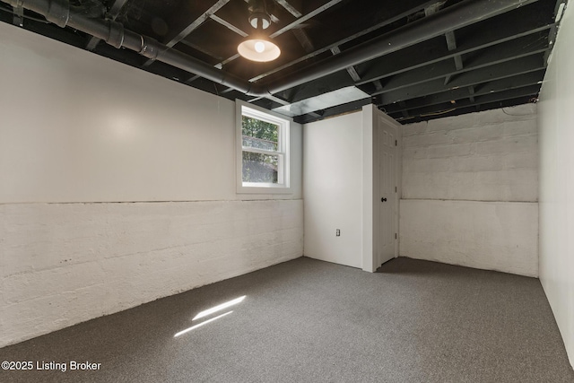 basement featuring carpet