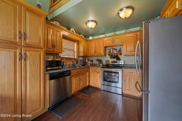 515 Brier Creek Meadows Rd, Mammoth Cave, KY 42259 - kitchen featuring dark countertops, appliances with stainless steel finishes, a sink, and dark wood-style floors