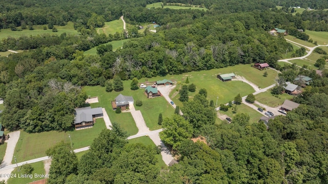 515 Brier Creek Meadows Rd, Mammoth Cave, KY 42259 - aerial view featuring a view of trees