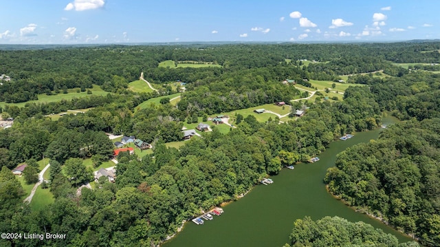 515 Brier Creek Meadows Rd, Mammoth Cave, KY 42259 - drone / aerial view featuring a forest view and a water view