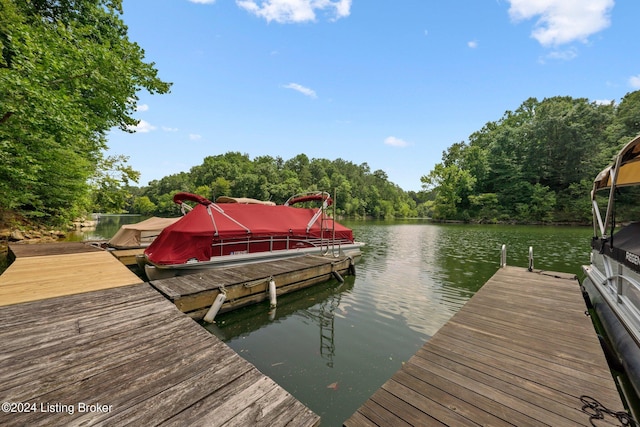 515 Brier Creek Meadows Rd, Mammoth Cave, KY 42259 - dock area with a wooded view and a water view
