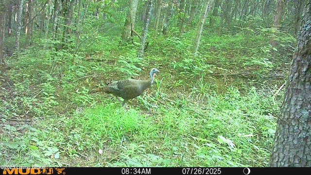 0 Lebanon Ridge Rd, Frankfort, KY 40601 - photo 9
