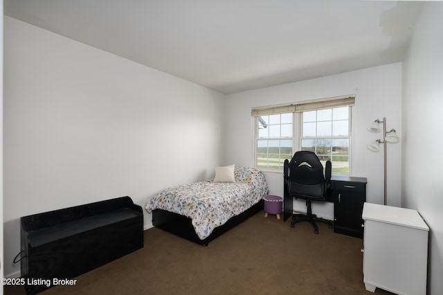 bedroom with carpet flooring