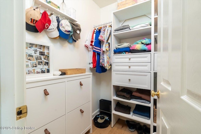 walk in closet featuring wood finished floors
