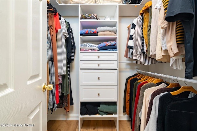 spacious closet featuring wood finished floors